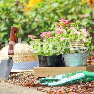 庭ガーデニング